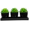 Northlight Mini Artificial Potted Succulents with Wood Planter - 5" - Set of 3